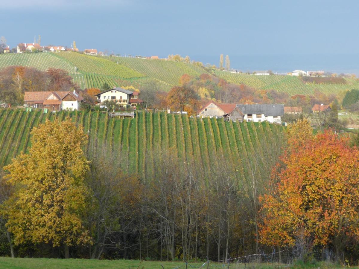 Auszeit Ferienhaus Fur 6 Personen ,Mit Grosser Terrasse Und Panoramablick, Turracher Hohe -A1 Haus 436 A Links- Dış mekan fotoğraf